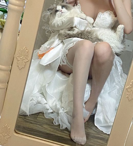 国产麻豆天美果冻视频_全集高清普通话在线观看