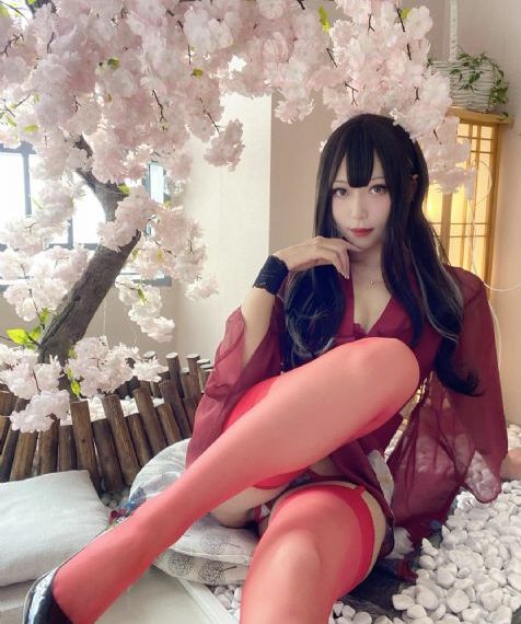 花儿免费视频观看大全下载_BDDVD国语在线观看