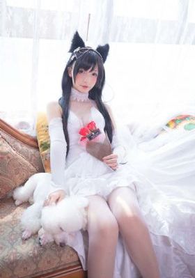 超清无码A片在线观看不卡免费_神马视频免费在线观看播放