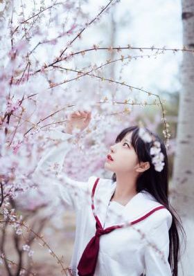 狼有视频在线播放_高清点播在线观看完整版