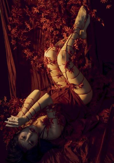 夜夜贪欢夜夜爽少妇免费_最近手机在线观看完整版